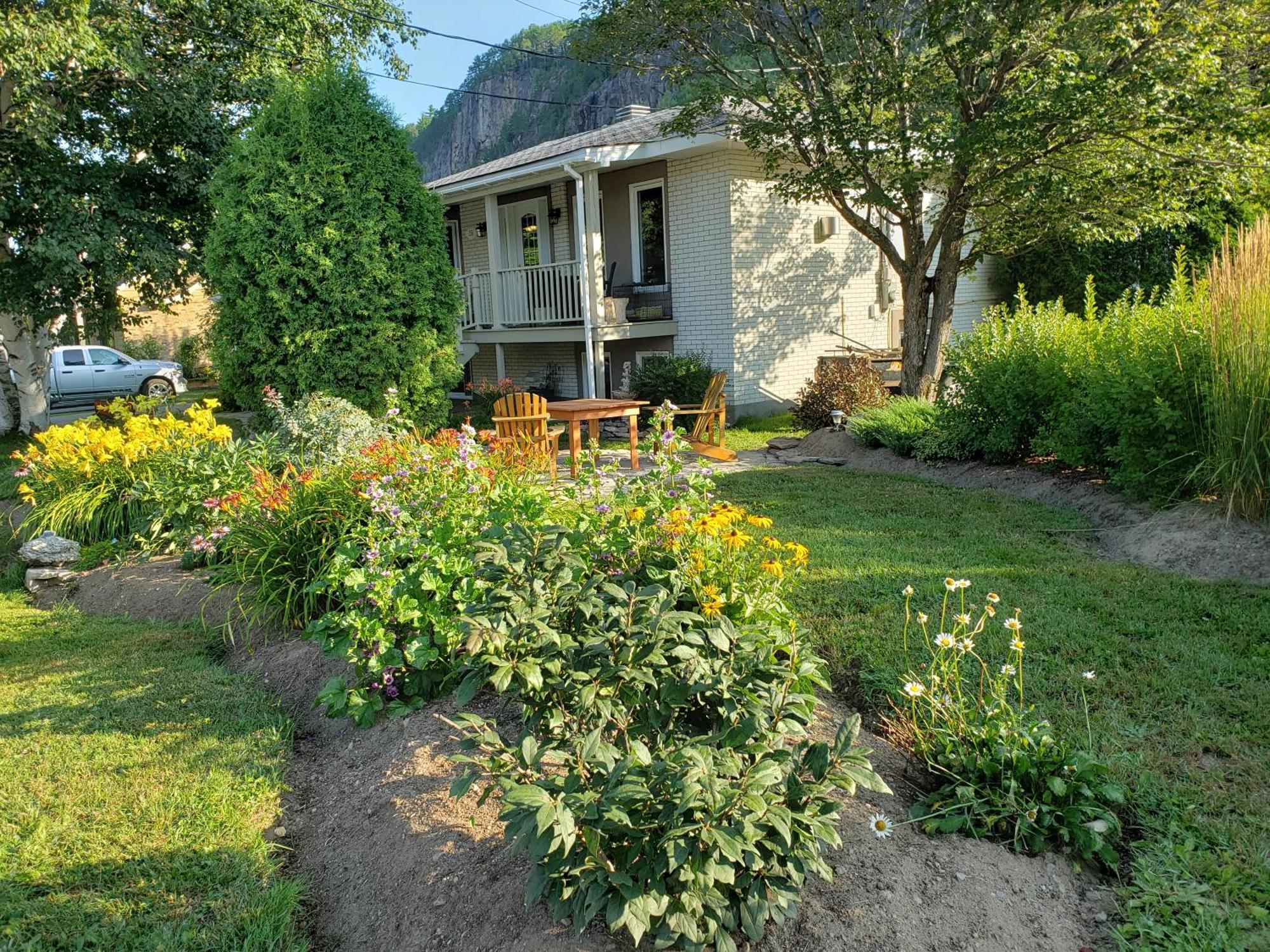 Residence Touristique Les Bouleaux Petit-Saguenay Buitenkant foto